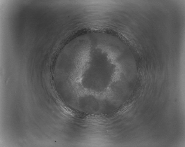 X0000073410817200608040956