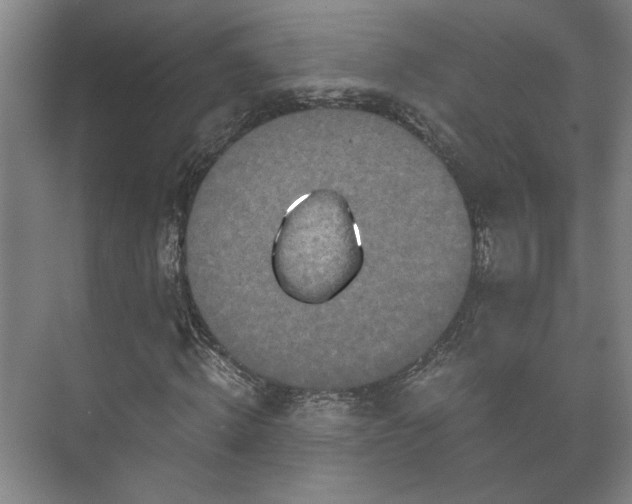 X0000073410820200608040956