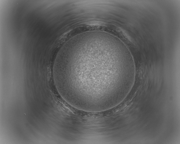 X0000073410821200608040956