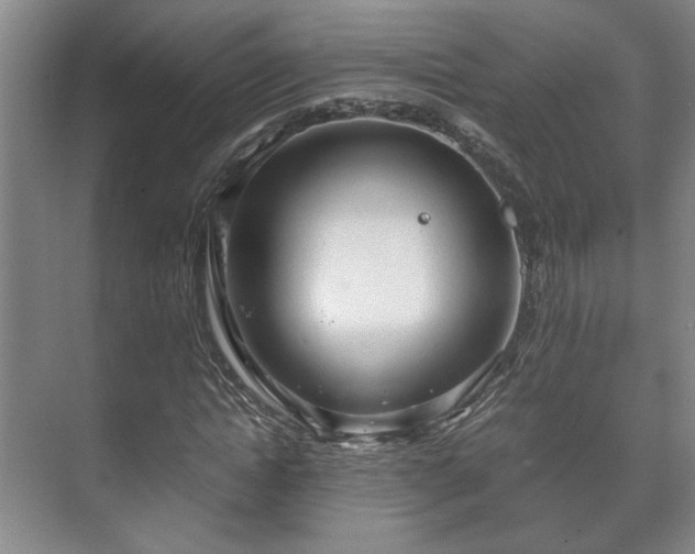 X0000073410822200608040956