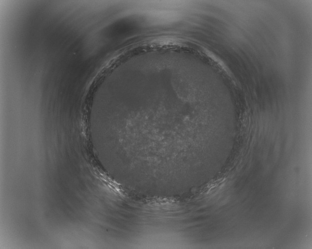 X0000073410823200608040956