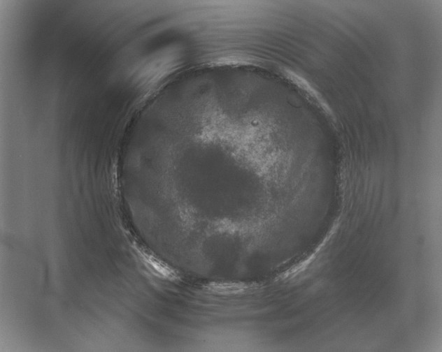 X0000073410825200608040956