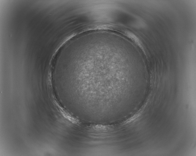 X0000073410827200608040956