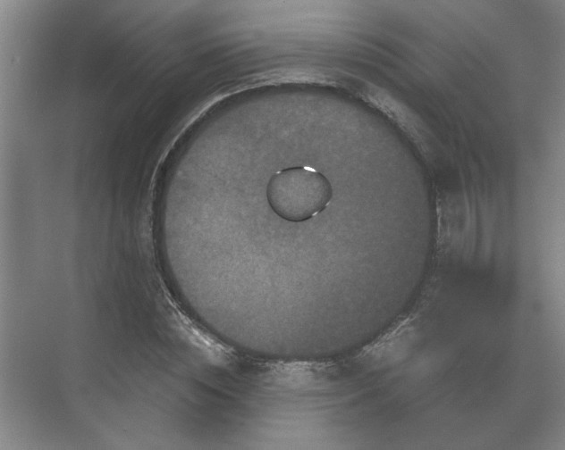 X0000073410828200608040956