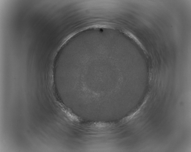 X0000073410829200608040956