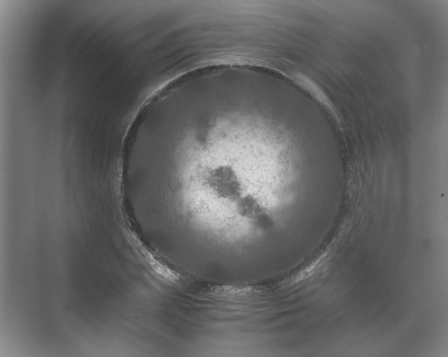 X0000073410831200608040956