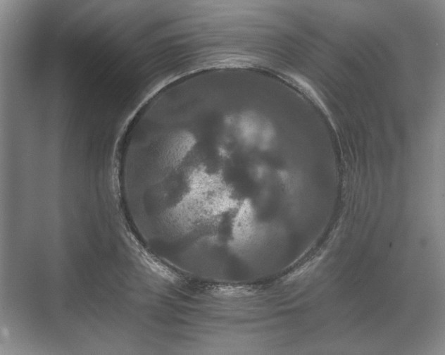 X0000073410835200608040956