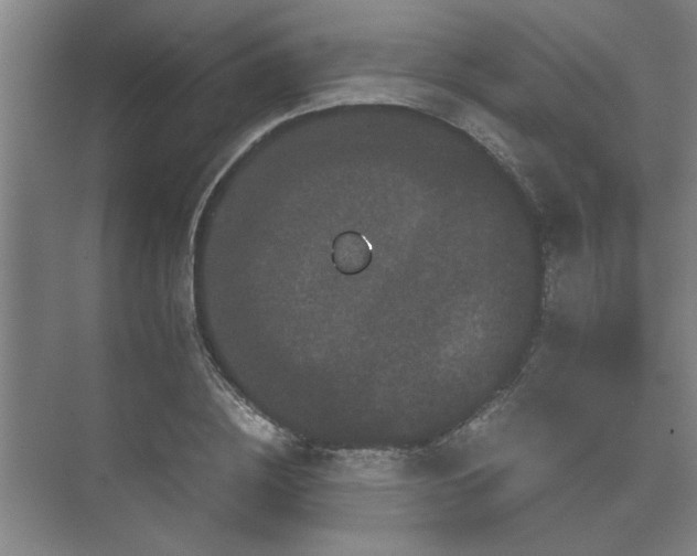 X0000073410836200608040956