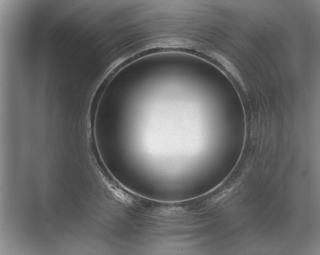 X0000073410837200608040956