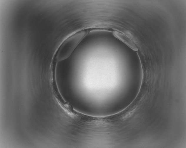 X0000073410838200608040956