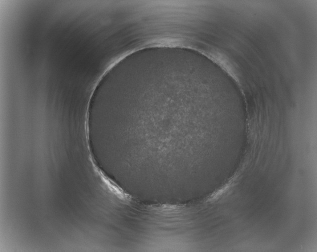 X0000073410839200608040956