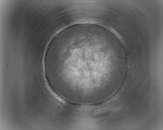 X0000073410840200608040956