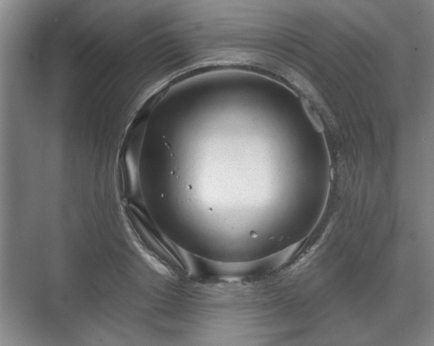 X0000073410842200608040956