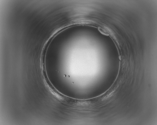 X0000073410843200608040956