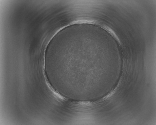 X0000073410844200608040956