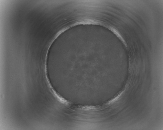 X0000073410845200608040956