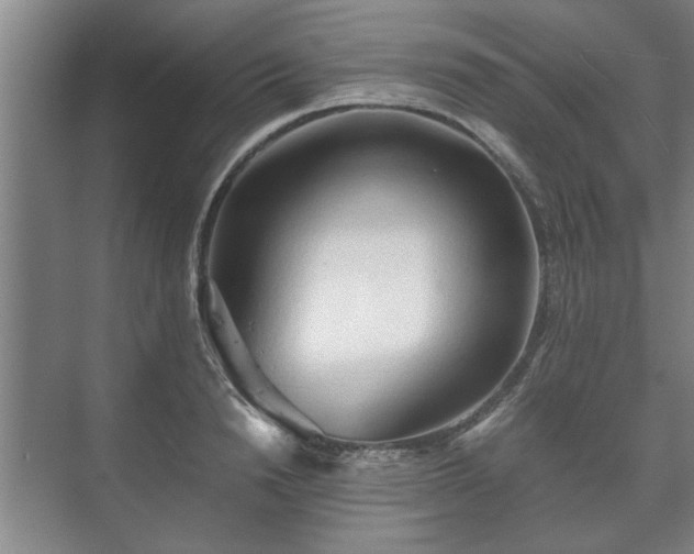 X0000073410846200608040956