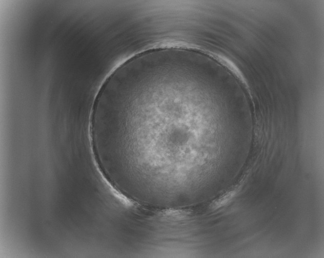 X0000073410847200608040956