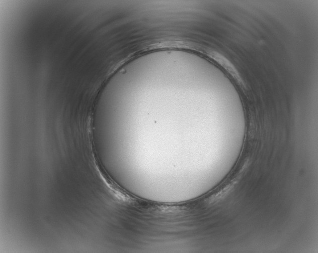 X0000073410849200608040956