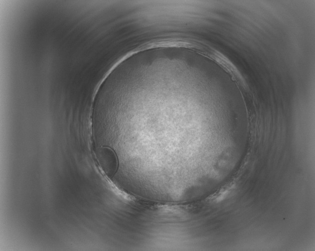 X0000073410852200608040956