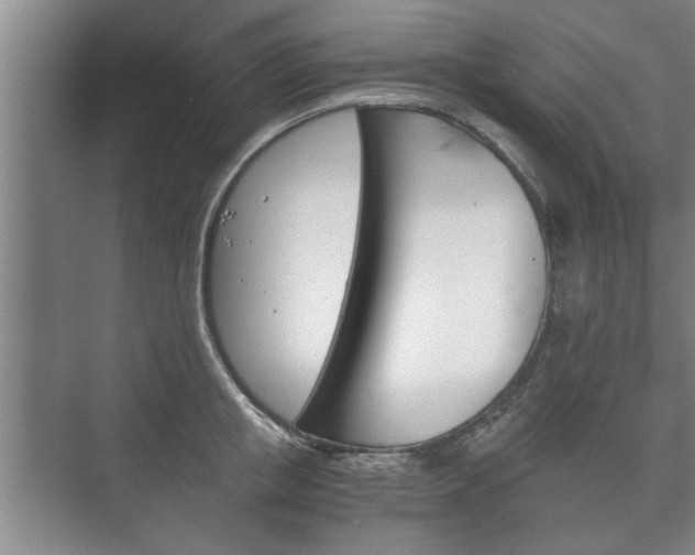 X0000073410853200608040956