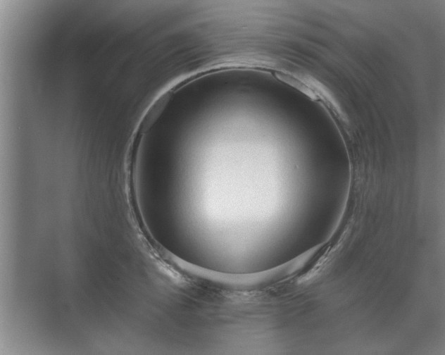 X0000073410854200608040956