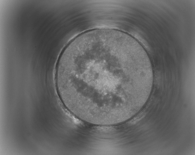 X0000073410856200608040956