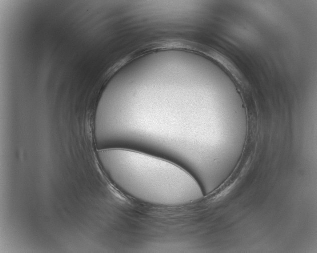 X0000073410857200608040956