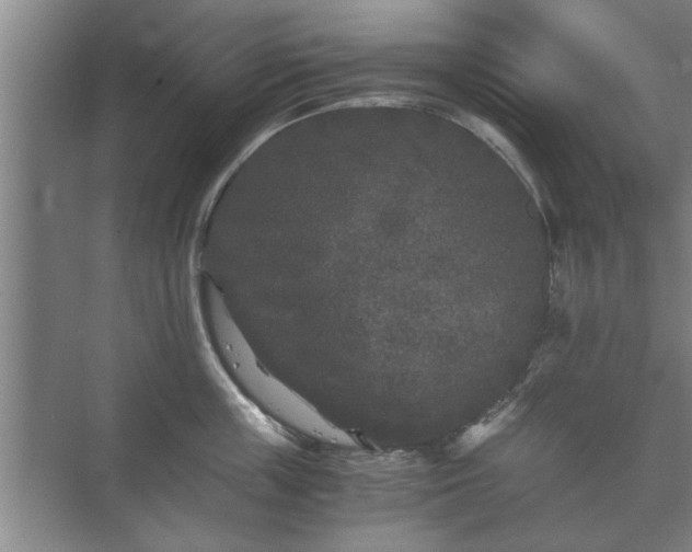 X0000073410859200608040956