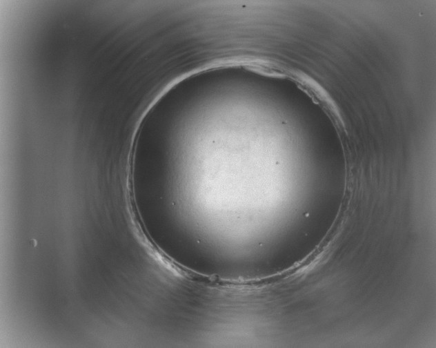 X0000073410860200608040956