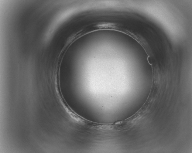 X0000073410861200608040956