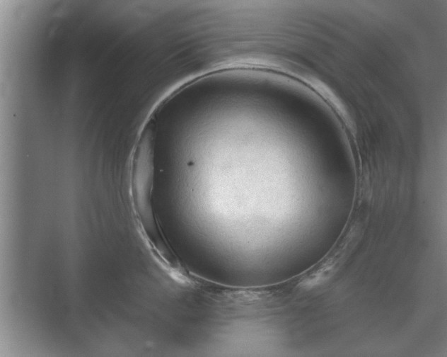 X0000073410862200608040956