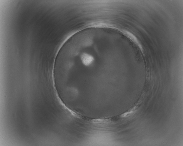 X0000073410863200608040957