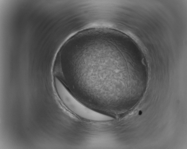 X0000073410864200608040957