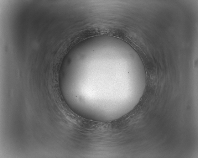 X0000073410865200608040956