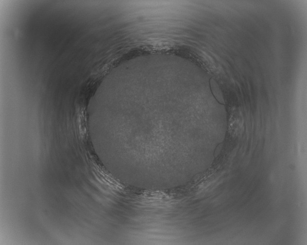 X0000073410866200608040956