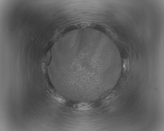 X0000073410867200608040956