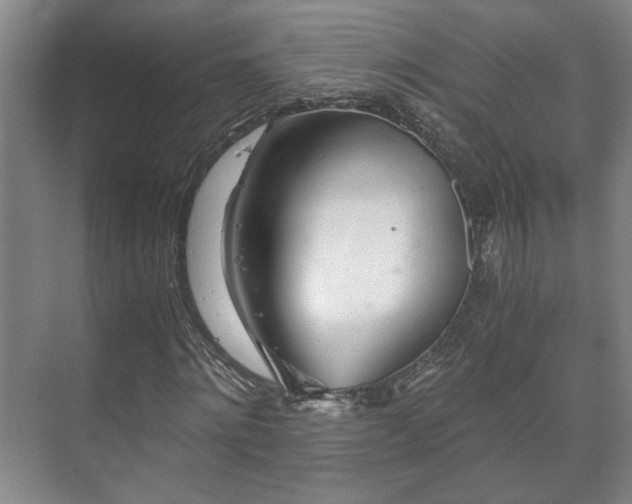 X0000073410868200608040956