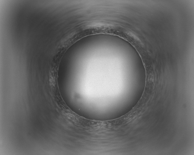 X0000073410869200608040956