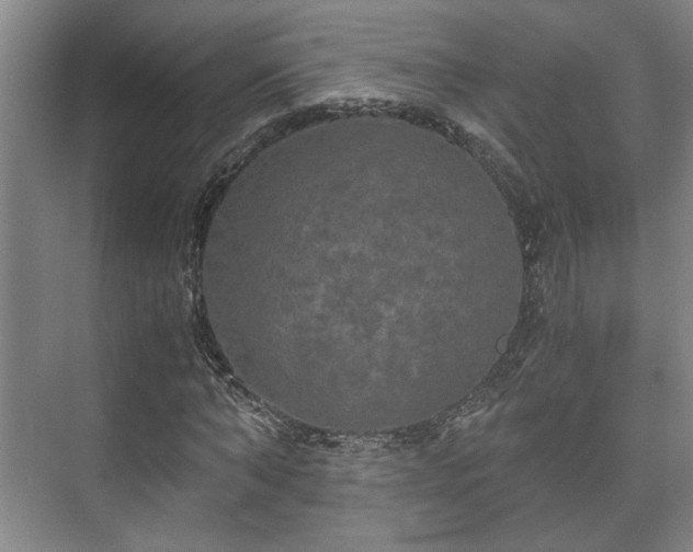 X0000073410870200608040956