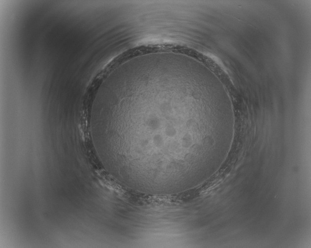 X0000073410871200608040956