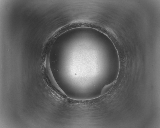 X0000073410872200608040956