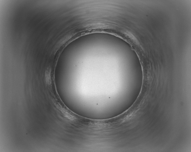 X0000073410873200608040956