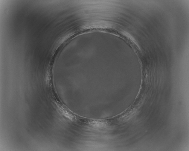 X0000073410874200608040956