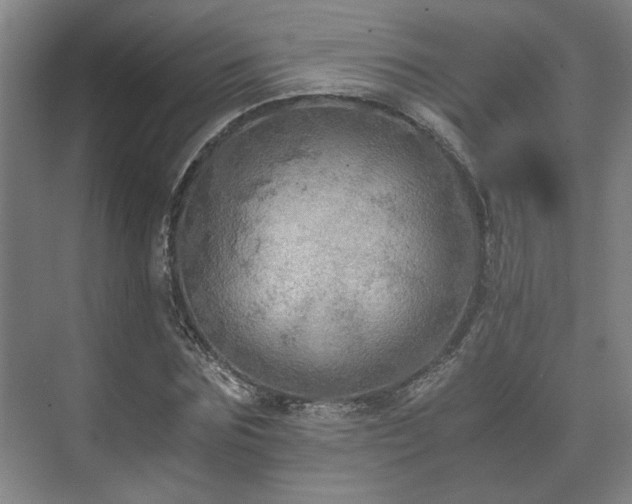 X0000073410875200608040956