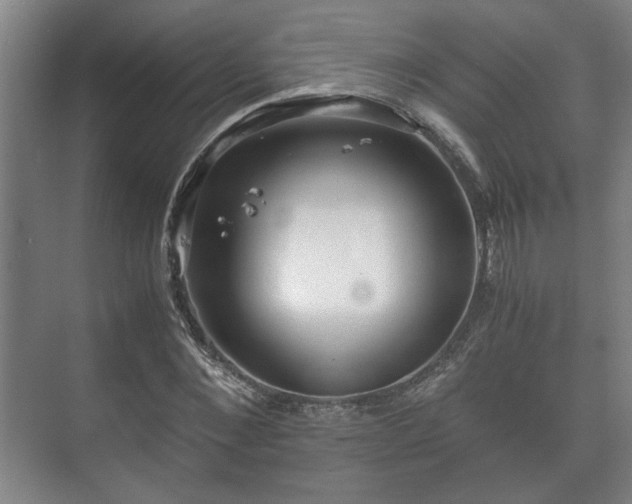 X0000073410876200608040956