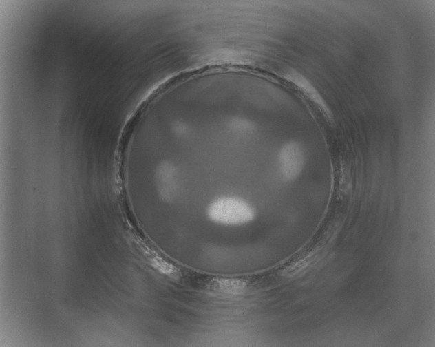 X0000073410878200608040956