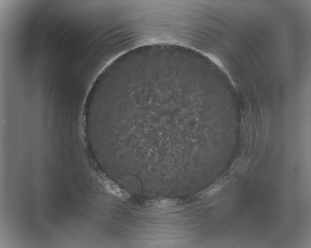 X0000073410879200608040955