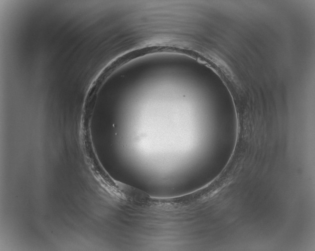 X0000073410880200608040955