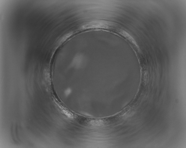 X0000073410882200608040955